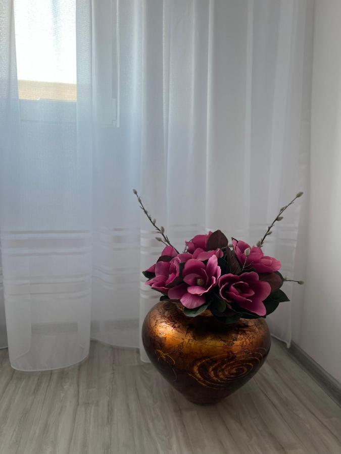 Apartament Tudor オラデア エクステリア 写真