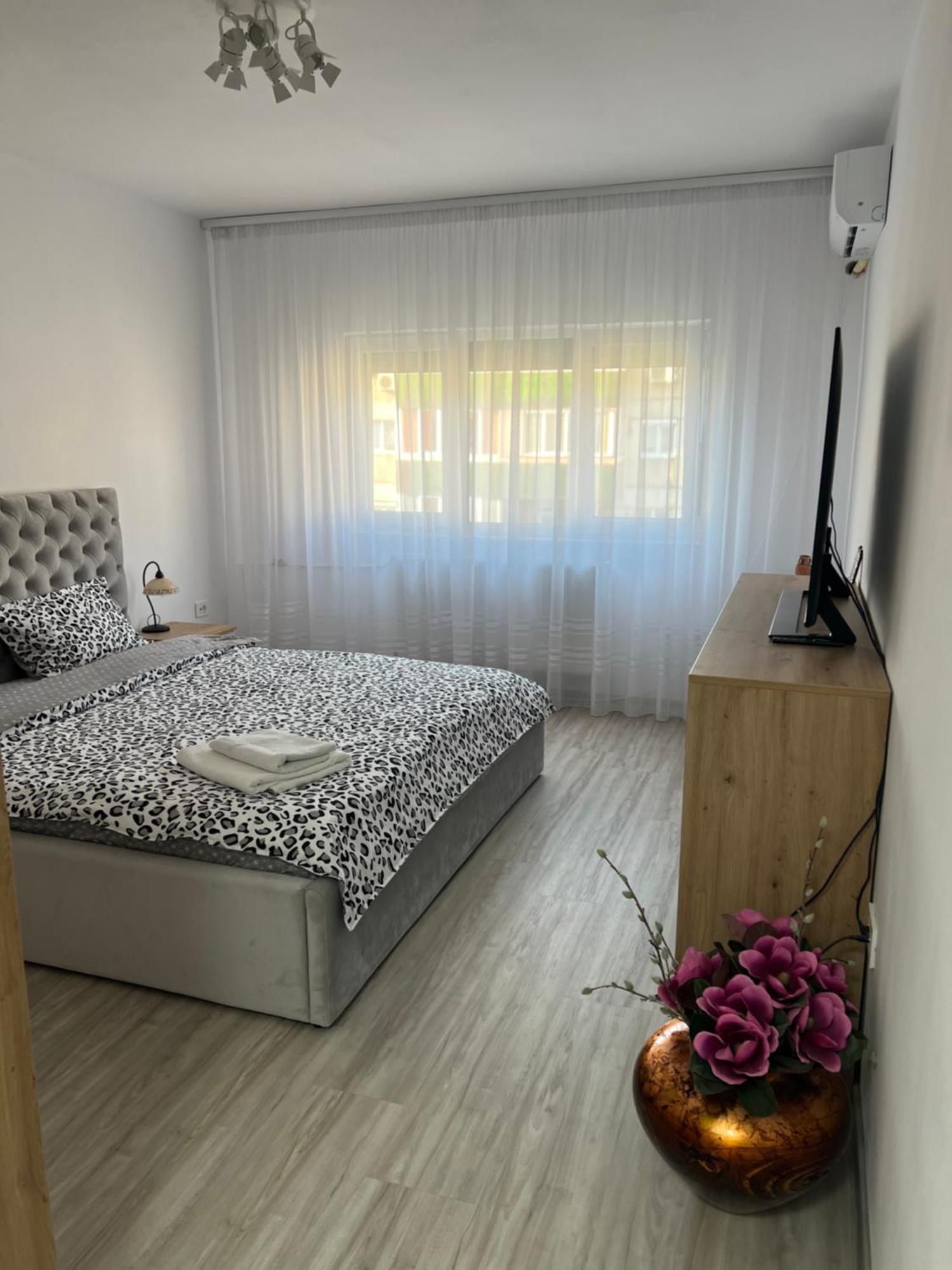 Apartament Tudor オラデア エクステリア 写真